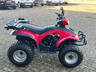 Quads  Eton Yukon 150cc Utility picture 6