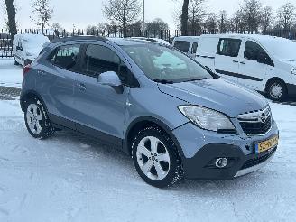 Opel Mokka 1.4 T Edition 4x4 picture 7