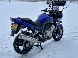 Yamaha FZS 1000 Fazer picture 5