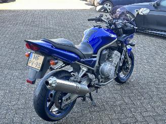 Yamaha FZS 1000 Fazer picture 5