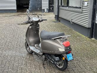 AGM  Wangye Maple picture 3