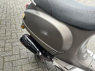 AGM  Wangye Maple picture 12