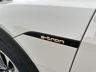 Audi E-tron 55 Quattro Advanced 95 kWh picture 37