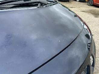 Renault Grand-scenic 2.0-16V Tech Line picture 34