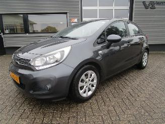 Unfallwagen Kia Rio 1.2 CVVT Business Line 5drs 2014/5