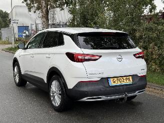 Opel Grandland X picture 4