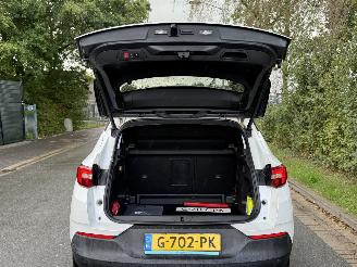 Opel Grandland X picture 9