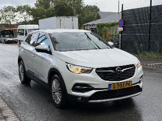 Opel Grandland X picture 2