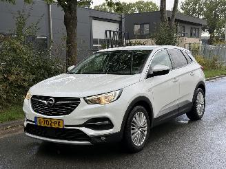 Tweedehands auto Opel Grandland X 2019/11