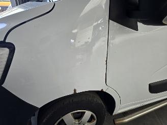 Renault Master L2H2 2.3 CDTi 110Kw picture 13