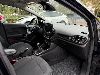 Ford Fiesta 1.5 TDCi Titanium  PANORAMADAK Hatchback 5-dr. picture 11