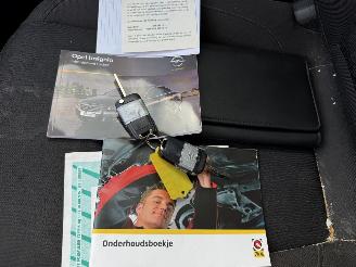 Opel Insignia 1.4 TURBO picture 21