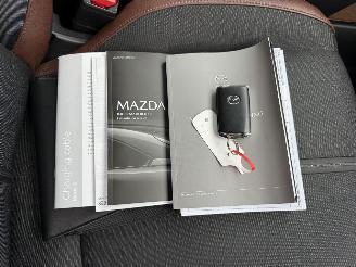 Mazda MX-30 e-SkyActiv R-EV 170 Advantage picture 37