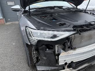 Audi E-tron 55 quattro edition 95 kWh  PANORAMADAK picture 26