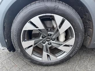 Audi E-tron 55 quattro edition 95 kWh  PANORAMADAK picture 30