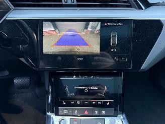 Audi E-tron 55 quattro edition 95 kWh  PANORAMADAK picture 17
