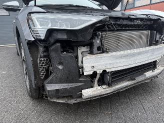 Audi E-tron 55 quattro edition 95 kWh  PANORAMADAK picture 27