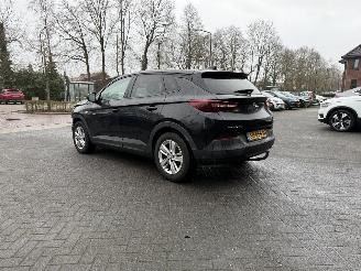 uszkodzony samochody osobowe Opel Grandland 1.2 Turbo Online Edition (SUV 5-dr.) 2018/3