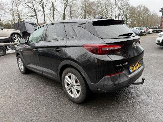 Opel Grandland 1.2 Turbo Online Edition (SUV 5-dr.) picture 3