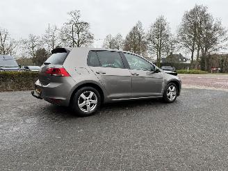 Volkswagen Golf 1.6 TDI Highline BlueMotion picture 39