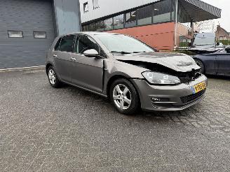 Volkswagen Golf 1.6 TDI Highline BlueMotion picture 38