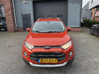 Ford EcoSport 1.0 EcoBoost Titanium (SUV 5-dr.) picture 8