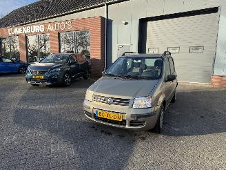 uszkodzony samochody osobowe Fiat Panda 1.2 Edizione Cool (Hatchback 5-dr.) 2007/6