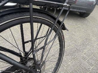 Stella  VINCENZA picture 13