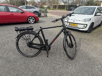 Stella  VINCENZA picture 6