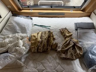 Kip  Celebration  44 ttz  MOVER  SCHADEVRIJ picture 20