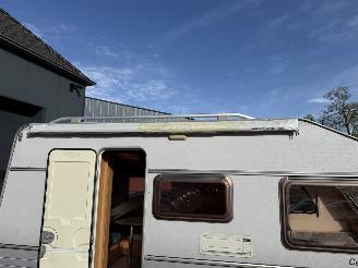 Kip  Celebration  44 ttz  MOVER  SCHADEVRIJ picture 37