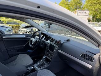 Volkswagen e-Golf e-Golf (Hatchback 5-dr.) picture 13