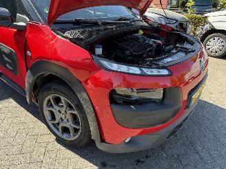Citroën C4 cactus 1.2 PureTech Shine (SUV 5-dr.) picture 11