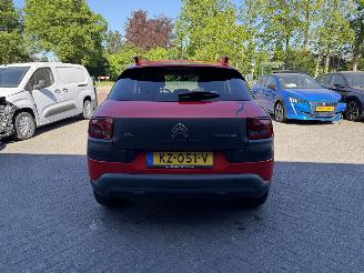 Citroën C4 cactus 1.2 PureTech Shine (SUV 5-dr.) picture 4