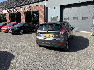 uszkodzony samochody osobowe Ford Fiesta 1.25 (Hatchback 5-dr.) 2017/5