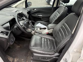 Ford C-Max 2.0 Plug-in Hybrid Titanium Plus (MPV 5-dr.) picture 21