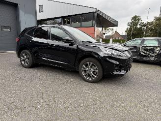 Ford Kuga 2.5 PHEV ST-Line X (SUV 5-dr.) picture 32