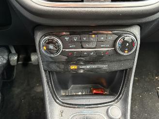 Ford Puma 1.0 EcoBoost Hybrid Titanium (SUV 5-dr.) picture 21