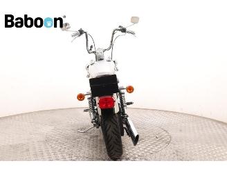 Harley-Davidson XL 1200 C Sportster picture 7