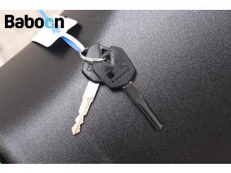 Kawasaki  Ninja 300 picture 22