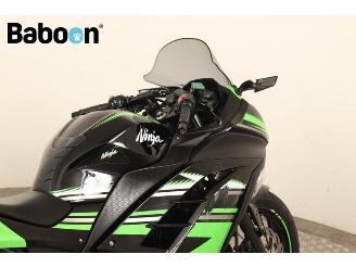 Kawasaki  Ninja 300 picture 10