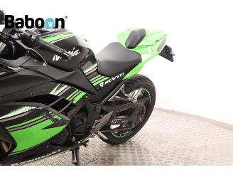 Kawasaki  Ninja 300 picture 21