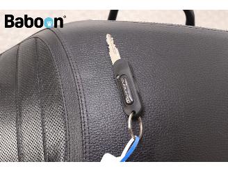 Benelli  Leoncino 500 picture 28