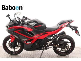 Kawasaki Ninja 500 SE  picture 5