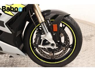 BMW S 1000 R ABS picture 11