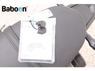 BMW  R nine T Urban G/S picture 22