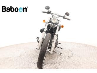 Harley-Davidson  FXSTB Softail Night Train picture 3