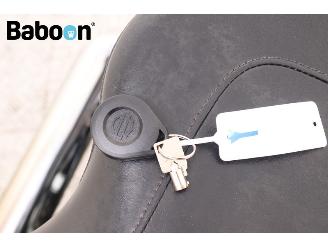 Harley-Davidson  FLSTF Fat Boy picture 22