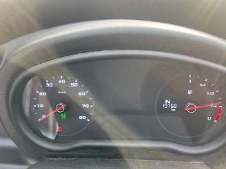 Aixam  D-Truck 400 Van 45KM picture 20