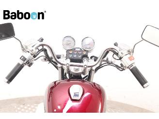 Honda  VT 800 C Shadow picture 15